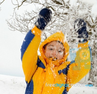 Playing In The Snow Stock Photo