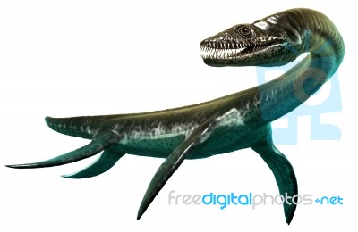 Plesiosaurus Stock Image