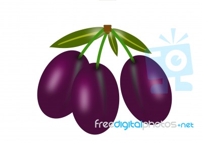 Plums Stock Image