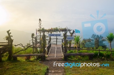 Podium For Natural View On Viewpoint Doi Ang Khang Mountai Stock Photo