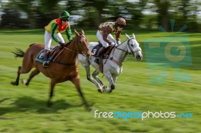 Point To Point Racing At Godstone Stock Photo