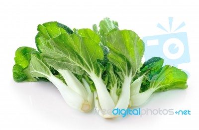 Pok Choi Isolated On White Background Stock Photo