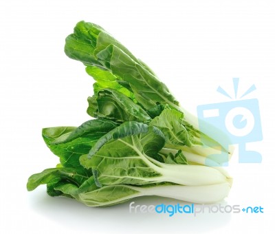 Pok Choi Isolated On White Background Stock Photo