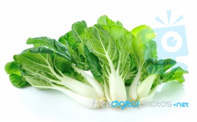 Pok Choi On White Background Stock Photo