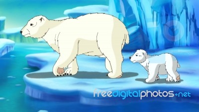 Polar Bear Stock Image