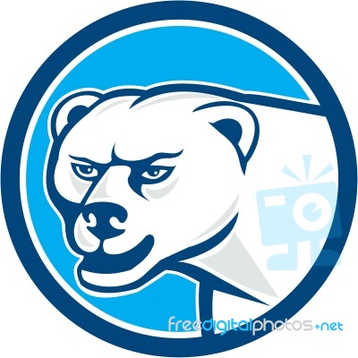 Polar Bear Head Circle Cartoon Stock Image