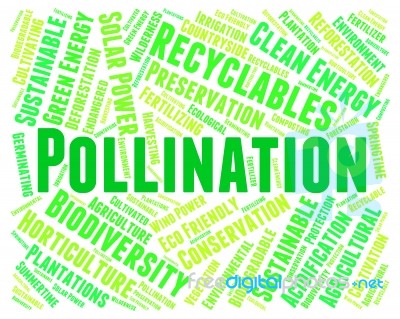 Pollination Word Meaning Words Pollinate And Fertilize Stock Image