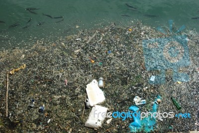 Polluted River Full Of Rubbish And Fishes Stock Photo