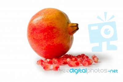 Pomegranate Stock Photo