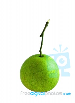 Pomelo Stock Photo