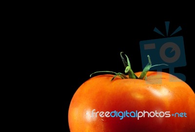 Pomodoro Stock Photo