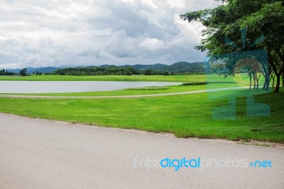 Ponds In The Park Stock Photo