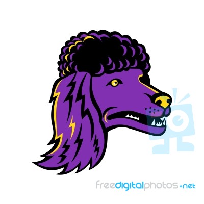 Poodle Head Mascot Stock Image