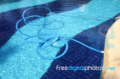 Pool Cleaning Hose Stock Photo