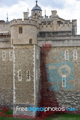 Poppies At The Tower Of London Stock Photo