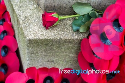 Poppies On The War Memorial  On Remembrance Sunday In East Grins… Stock Photo