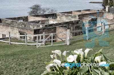 Port Arthur Building In Tasmania, Australia Stock Photo