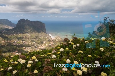 Porto Da Cruz, Madeira/portugal - April 12 : Penha D'aguia (eagl… Stock Photo