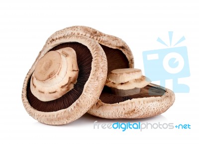 Portobello Mushroom Isolated On The White Background Stock Photo