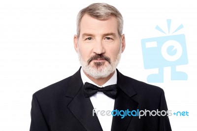 Portrait Image Of Mature Businessman Stock Photo