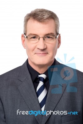 Portrait Image Of Senior Businessman Stock Photo