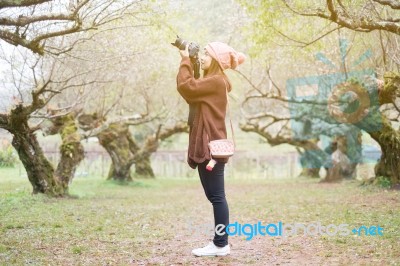 Portrait Of A Beautiful Asian Women With Nature Background Stock Photo