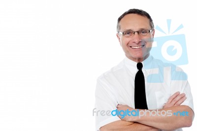 Portrait Of A Senior Businessman Stock Photo