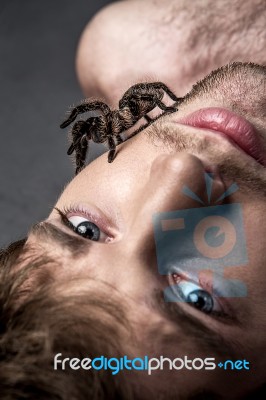 Portrait Of A Young Handsome Man With Spider On His Face Stock Photo