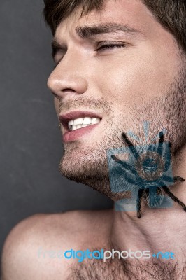 Portrait Of A Young Handsome Man With Spider On His Face Stock Photo