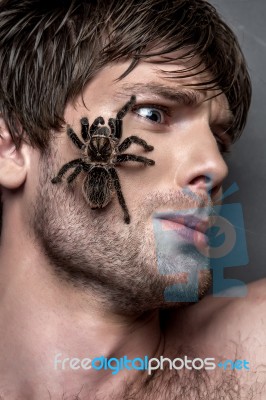 Portrait Of A Young Handsome Man With Spider On His Face Stock Photo