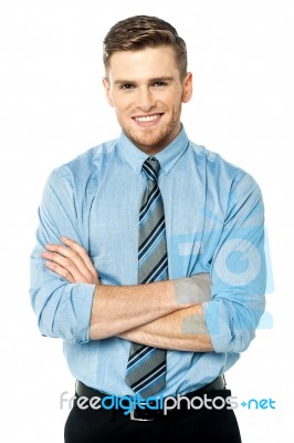 Portrait Of A Young Male Business Executive Stock Photo