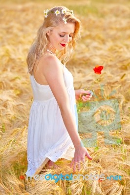 Portrait Of Beautiful Girl In Field Stock Photo