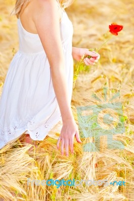 Portrait Of Beautiful Girl In Field Stock Photo