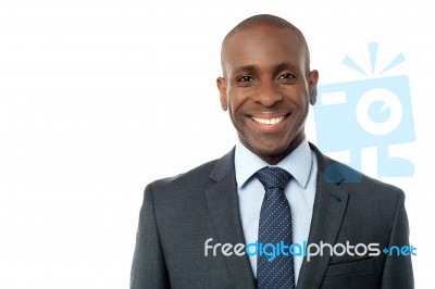 Portrait Of Smiling Business Executive Stock Photo