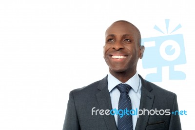 Portrait Of Smiling Business Executive Stock Photo