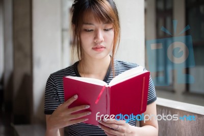 Portrait Of Thai Adult Beautiful Girl Reading Red Book Stock Photo