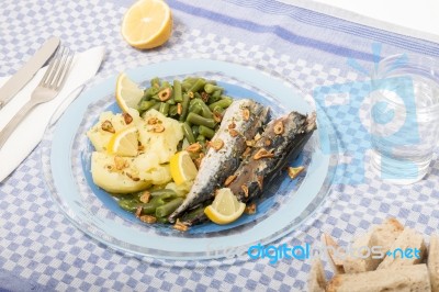 Portuguese Mackerel Fish Meal Stock Photo