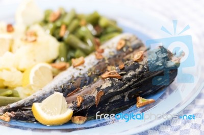 Portuguese Mackerel Fish Meal Stock Photo