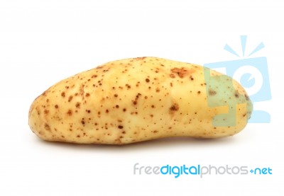 Potato Stock Photo