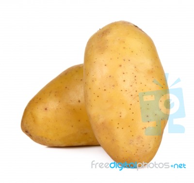 Potato Isolated On The White Background Stock Photo