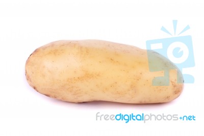 Potato On White Stock Photo