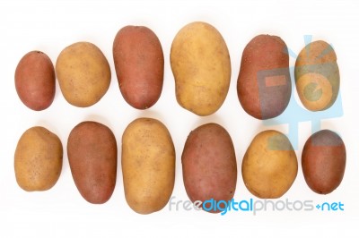 Potatoes Isolated On A White Background Stock Photo