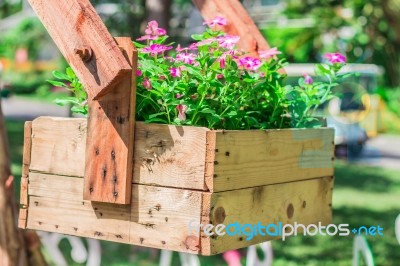 Potted Flowers In Park Stock Photo