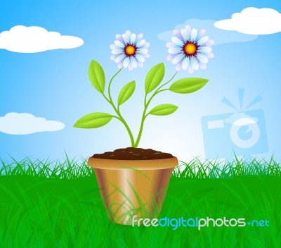 Potted Plant Means Cultivation Gardening And Plants Stock Image