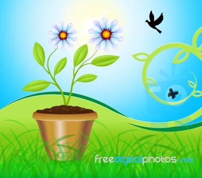 Potted Plant Means Flower And Gardening 3d Illustration Stock Image