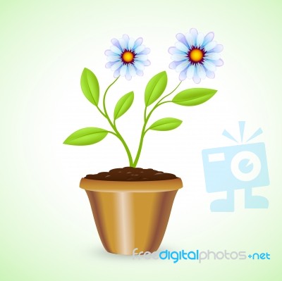 Potted Plant Shows Outdoor Houseplant And Botanic Stock Image