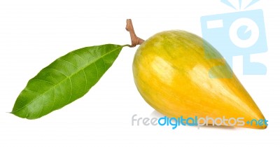 Pouteria Campechiana Isolated On The White Background Stock Photo