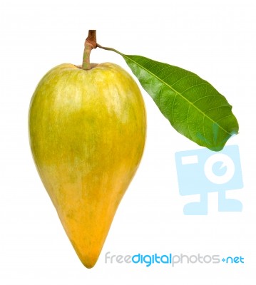 Pouteria Campechiana Isolated On The White Background Stock Photo