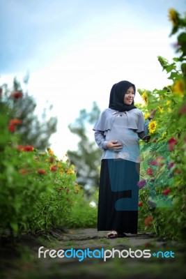 Pregnant Mommy And The Sun Flowers Stock Photo