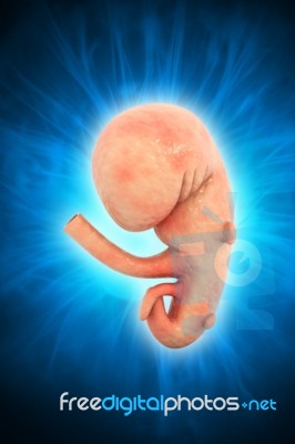 Prenatal Pregnancy Stock Image